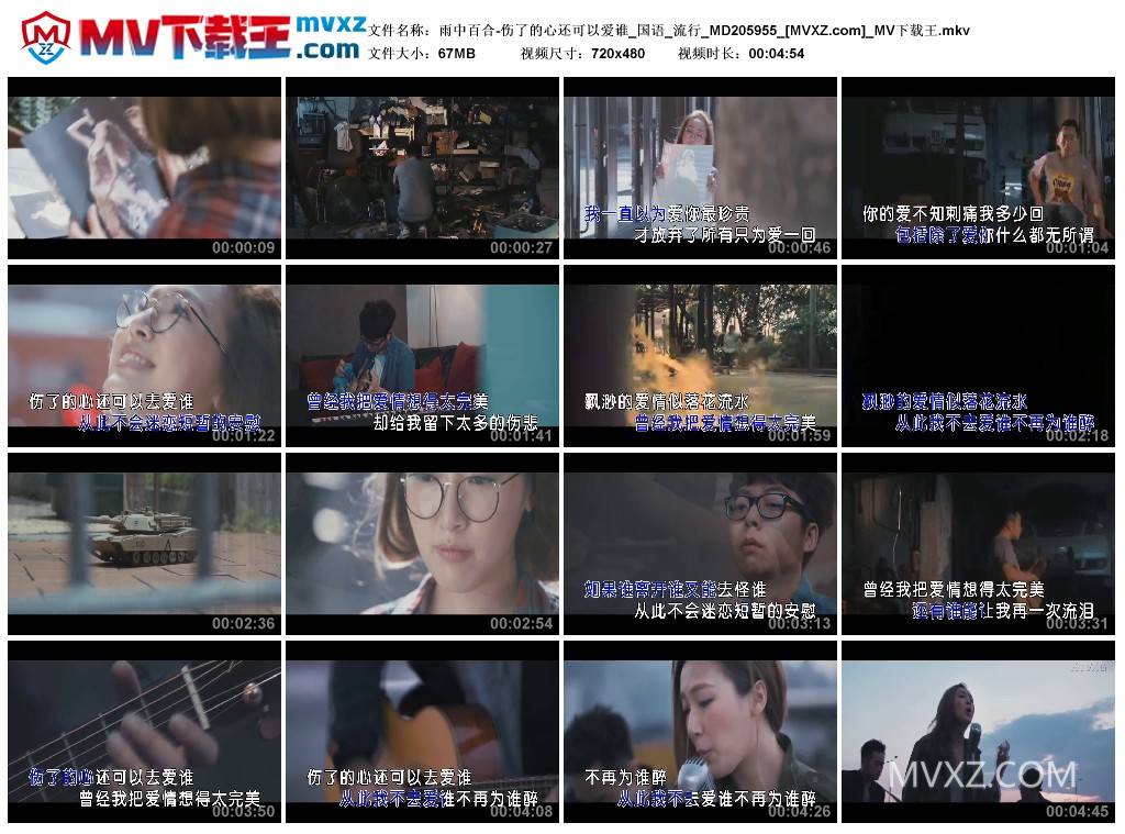 雨中百合-伤了的心还可以爱谁_国语_流行_MD205955